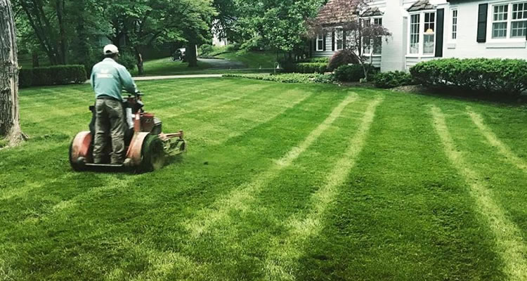 Proper fall mowing height for Indiana cool-season grass