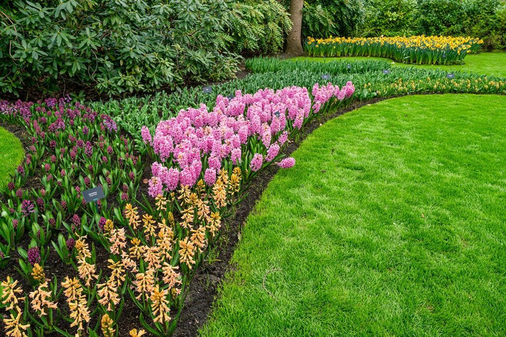 Lush green lawn in spring with text about crabgrass prevention and mole control from GreenLawn by Design.