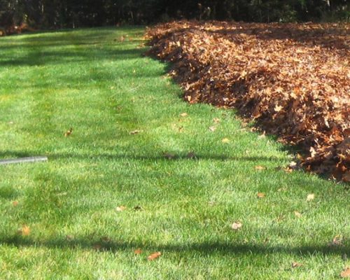 fall_cleanup_1