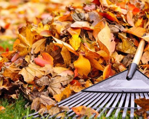 landscaping-wordpress-theme-spring-and-fall-cleanup-1-870x450