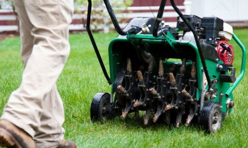 landscaping-wp-themes-spring-and-fall-cleanup-2-870×450 landscaping-wp-themes-spring-and-fall-cleanup-2-870x450