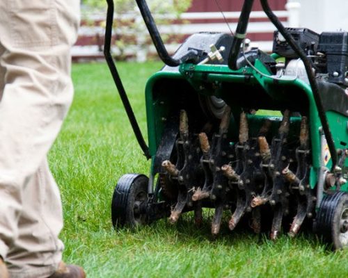 landscaping-wp-themes-spring-and-fall-cleanup-2-870x450