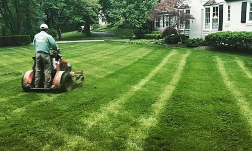 lawn-care-services Proper fall mowing height for Indiana cool-season grass