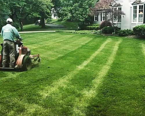 Proper fall mowing height for Indiana cool-season grass