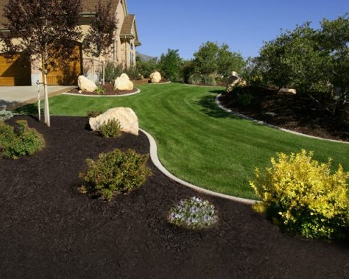 mulch_black