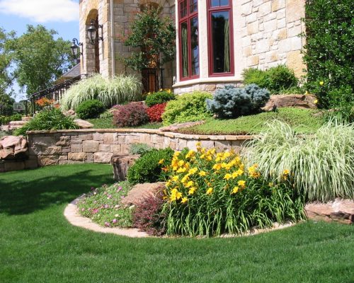 specimin-trees-for-landscaping-ideas-front-house-landscape-inspiring-home-landscaping-design